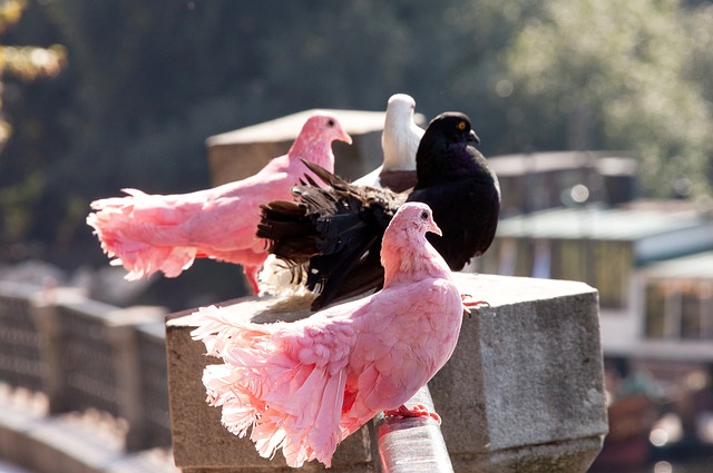 续观察和深 续观察和深