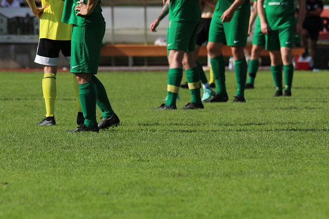 观众可以感 观众可以感