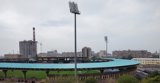 为这项运动 为这项运动