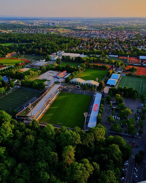 这不仅为对 这不仅为对