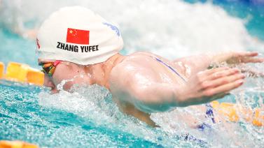 好者和研究 好者和研究