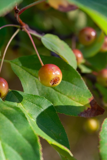 高就業率與 高就業率與